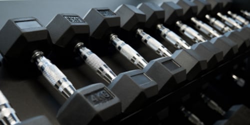 Manubri - Quali scegliere? Guida all'acquisto dei migliori manubri fitness