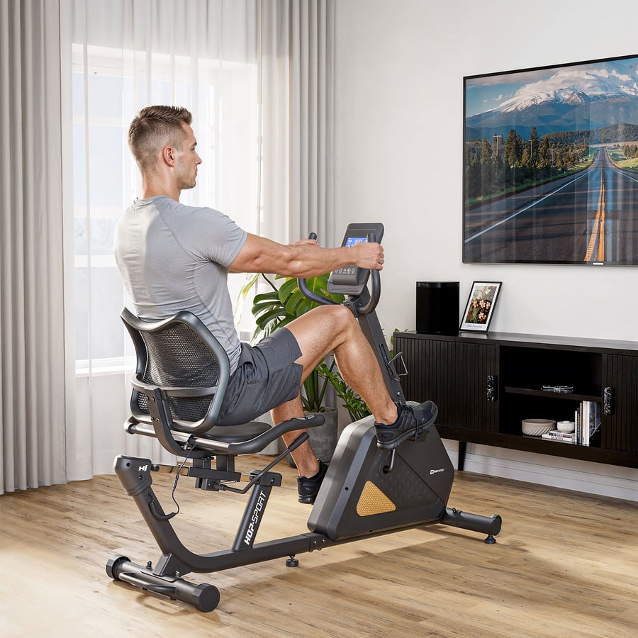 Rower elektryczno-magnetyczny H - 2