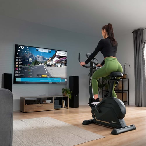 Rower elektryczno-magnetyczny H