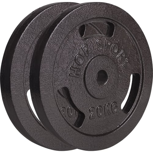 Guss Gewichtsset  2 x 20 KG