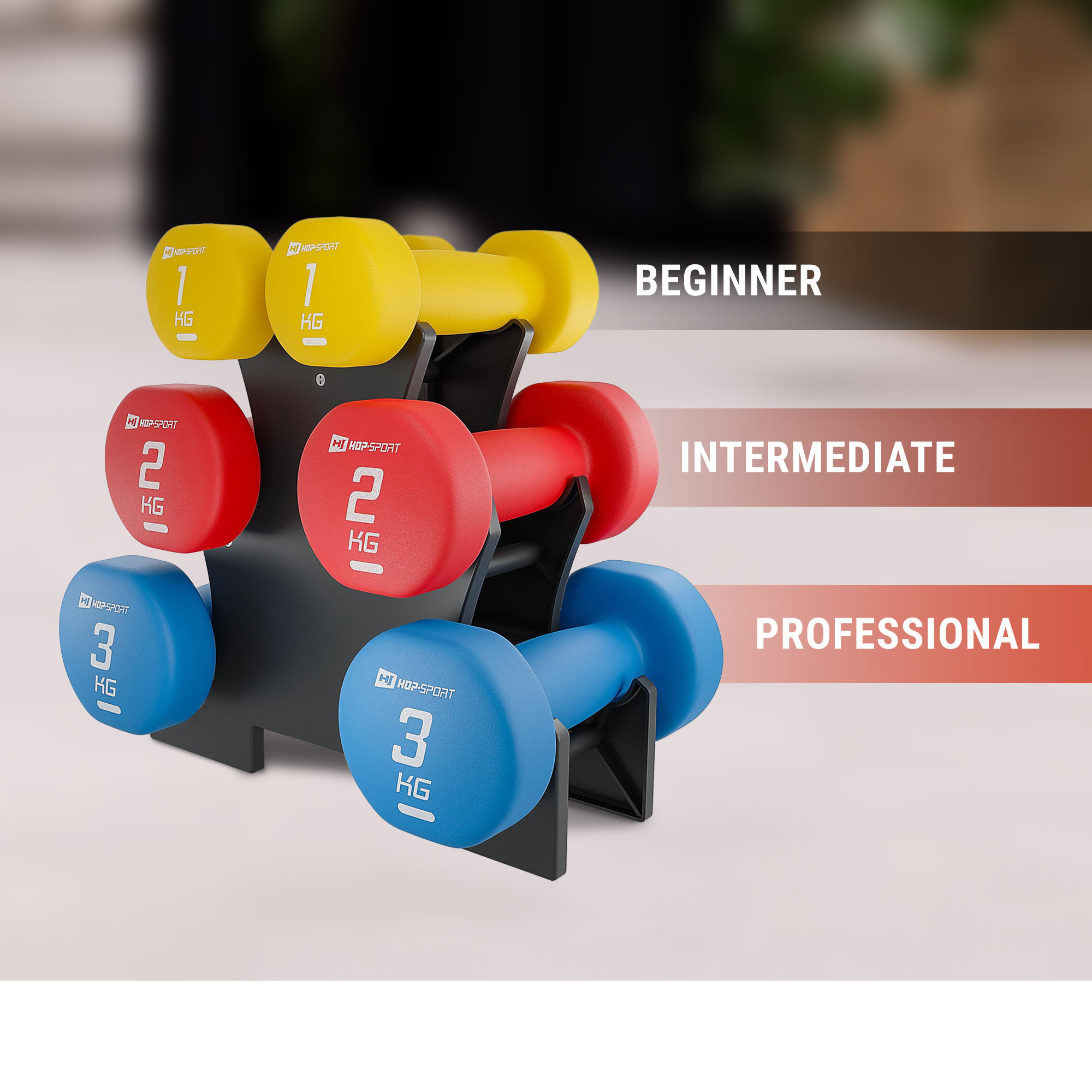 Grafica che mostra progressioni in manubri di vari colori sul supporto