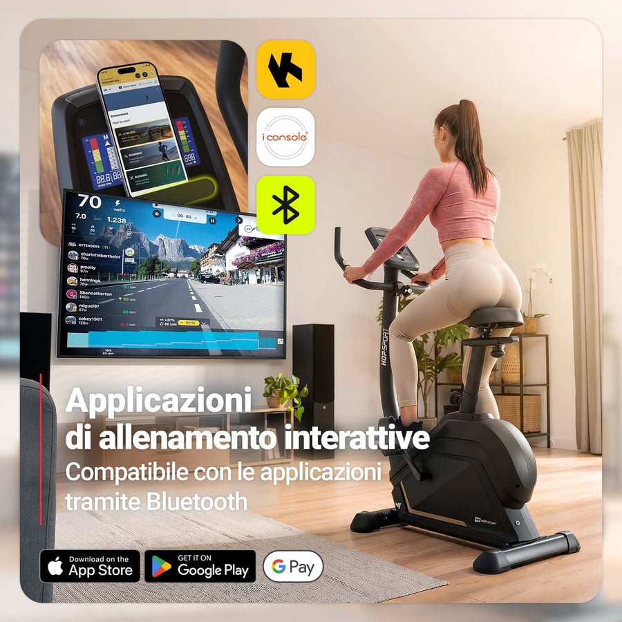 Bicicletta elettrica-magnetica HS-120H Argo